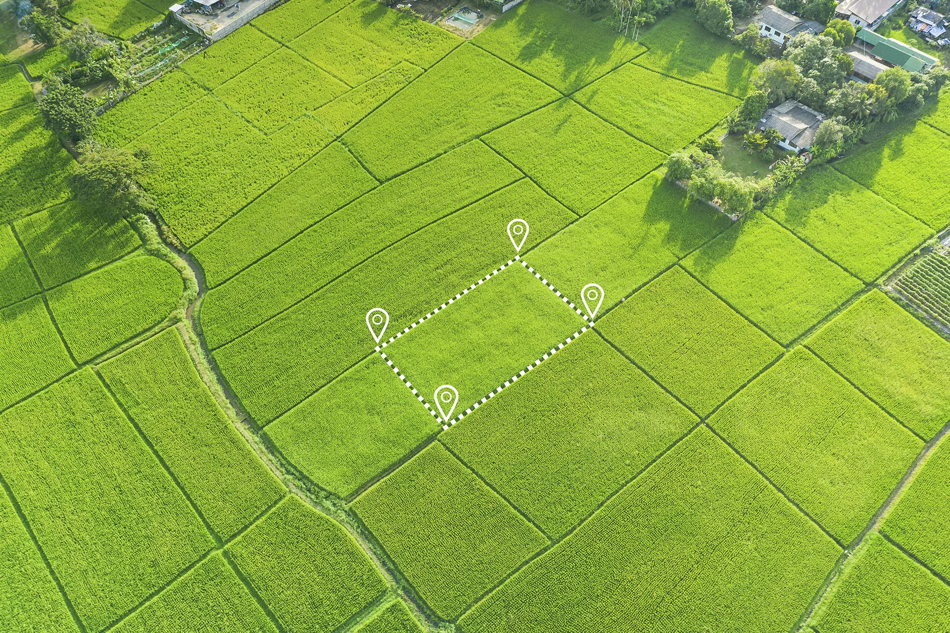 Agriculture mapping  with drone scan and GFX Replay  post treatment